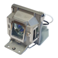 Lampade per il proiettore BENQ MP515