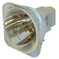 BENQ SP920 (Lamp 1) Lampada senza supporto