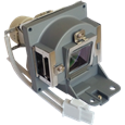 Lampade per il proiettore BENQ TW529