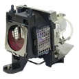 Lampade per il proiettore BENQ W100