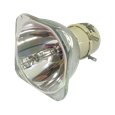 Lampade per il proiettore BENQ W11000