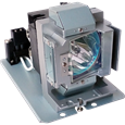 Lampade per il proiettore BENQ W1350