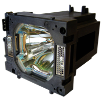 EIKI LC-X80 Lampada con supporto