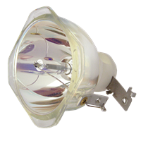INFOCUS SP-LAMP-026 Lampada senza supporto