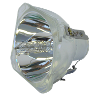INFOCUS SP-LAMP-033 Lampada senza supporto