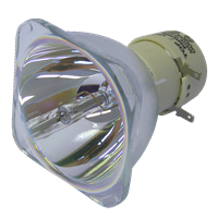 INFOCUS SP-LAMP-039 Lampada senza supporto