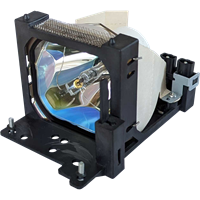 LIESEGANG DV 4102 Lampada con supporto