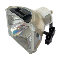 LIESEGANG DV 500 Lampada senza supporto