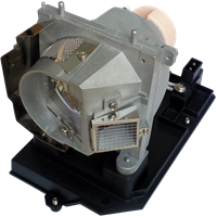 OPTOMA DAEWLTUUT Lampada con supporto