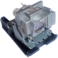 Lampade per il proiettore OPTOMA EH2060