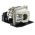 Lampade per il proiettore OPTOMA HD80