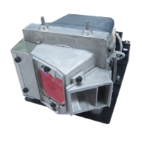 OPTOMA VDHDSS Lampada con supporto