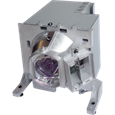 Lampade per il proiettore OPTOMA WU515