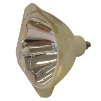 PHILIPS-UHP 120/100W 1.0 E19.8 Lampada senza supporto