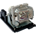 Lampade per il proiettore PROMETHEAN PRM32