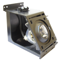 SAMSUNG SP-50L6HX Lampada con supporto