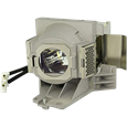 Lampade per il proiettore VIEWSONIC PRO7827HD