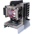 Lampade per il proiettore VIEWSONIC PRO9530HDL