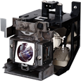 Lampade per il proiettore VIEWSONIC PX800HD